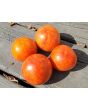 Tomato 'Aviuri' Seeds (Certified Organic)