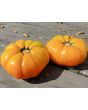 Tomato 'Armenian' Seeds (Certified Organic)