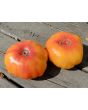 Tomato 'Armenian' Seeds (Certified Organic)