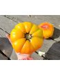 Tomato 'Armenian' Seeds (Certified Organic)