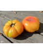 Tomato 'Armenian' Seeds (Certified Organic)