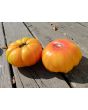 Tomato 'Armenian' Seeds (Certified Organic)