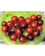 Tomato 'Fahrenheit Blues' Seeds (Certified Organic)