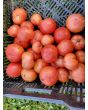 Tomato 'Raspberry Lyanna' Seeds (Certified Organic)