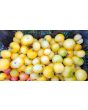 Tomato 'Peche Juane' Seeds (Certified Organic)
