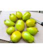 Tomato 'Chile Verde' Seeds (Certified Organic)