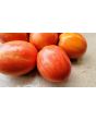 Tomato 'Don Juan' Seeds (Certified Organic)