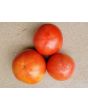 Tomato 'June Pink' AKA 'Pink Earliana' Seeds (Certified Organic)