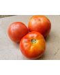 Tomato 'June Pink' AKA 'Pink Earliana' Seeds (Certified Organic)
