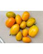 Tomato 'Orange Roma' Seeds (Certified Organic)