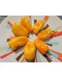 Sweet Pepper 'Lunch Box Yellow' Seeds (Certified Organic)