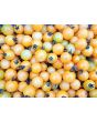 Tomato 'Honeydrop' Plant 