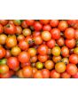 Tomato 'Be My Baby' Seeds (Certified Organic)