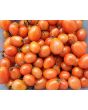 Tomato 'Sprite' Seeds (Certified Organic)
