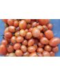 Tomato 'Sprite' Seeds (Certified Organic)