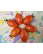 Tomato 'Matt's Folly' Seeds (Certified Organic)