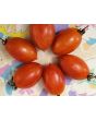 Tomato 'Matt's Folly' Seeds (Certified Organic)