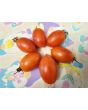 Tomato 'Matt's Folly' Seeds (Certified Organic)