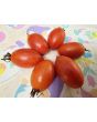 Tomato 'Matt's Folly' Seeds (Certified Organic)