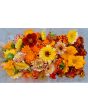 Calendula 'Red Splash Mix' Seeds (Certified Organic)