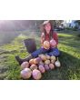 Eggplant ‘Purple & White Striped’ Seeds (Certified Organic)