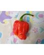 Hot Pepper 'Bubblegum Scorpion' Seeds (Certified Organic)