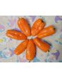 Sweet Pepper 'Lunch Box Orange' Seeds (Certified Organic)