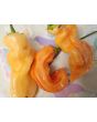 Hot Pepper 'Sugar Rush Stripey' Seeds (Certified Organic)