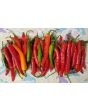 Hot Pepper 'Firecracker' Seeds (Certified Organic)
