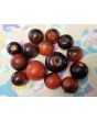 Tomato 'Fahrenheit Blues' Seeds (Certified Organic)