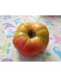 Tomato 'Three Fat Men' (Pink Variant) Seeds (Certified Organic)