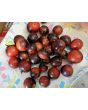 Tomato 'Fahrenheit Blues' Seeds (Certified Organic)