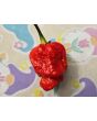 Hot Pepper 'Bubblegum Scorpion' Seeds (Certified Organic)