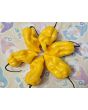Hot Pepper 'Aji Lemon x Reaper' Seeds (Certified Organic)