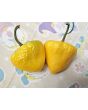 Hot Pepper 'Hinkelhatz Chicken Heart Yellow' Seeds (Certified Organic)