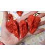 Hot Pepper ‘Zing’ Seeds (Certified Organic)