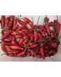 Hot Pepper 'Thai Dragon' Seeds (Certified Organic)