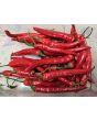 Hot Pepper 'Firecracker' Seeds (Certified Organic)