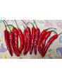 Hot Pepper 'Firecracker' Seeds (Certified Organic)