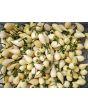 Hot Pepper 'White Chupetinho' Seeds (Certified Organic)