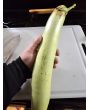 Eggplant 'Thai Long Green’ Seeds (Certified Organic)