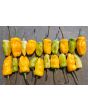 Hot Pepper 'Fish Orange' Seeds (Certified Organic)