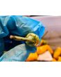 Hot Pepper 'Fish Orange' Seeds (Certified Organic)