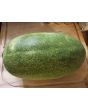 Watermelon 'Charleston Gray'