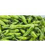 Pepper 'Shishito' Seeds (Certified Organic)