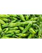 Pepper 'Shishito' Seeds (Certified Organic)