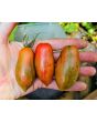 Tomato 'Prairie Fire' Seeds (Certified Organic)