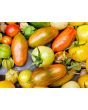 Tomato 'Prairie Fire' Seeds (Certified Organic)