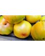 Tomato 'Eye of the Dingo' Seeds (Certified Organic)