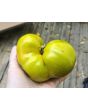 Dwarf Tomato 'Shamrock' Seeds (Certified Organic)